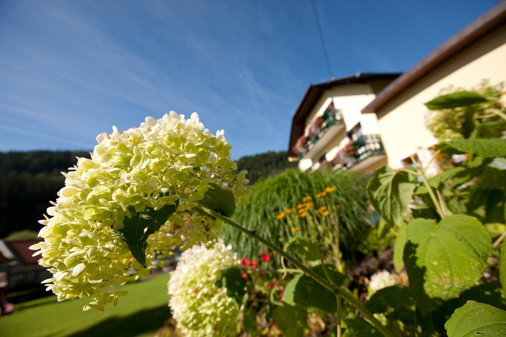 Hotel Moenichwalderhof Monichwald Экстерьер фото